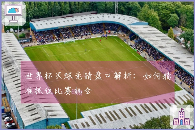 世界杯买球竞猜盘口解析:如何精准抓住比赛机会