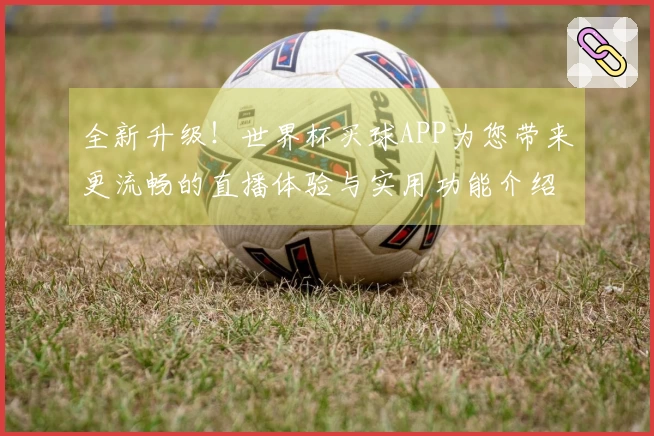 全新升级！世界杯买球APP为您带来更流畅的直播体验与实用功能介绍