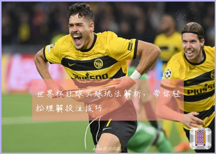 世界杯让球买球玩法解析，带你轻松理解投注技巧
