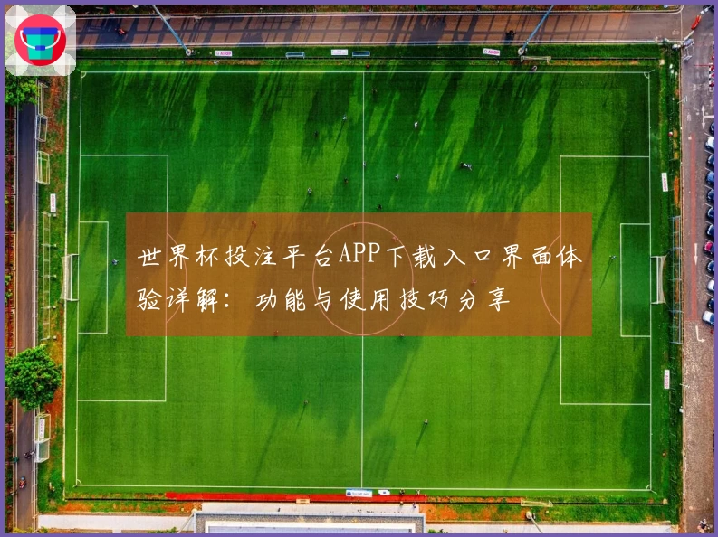 世界杯投注平台APP下载入口界面体验详解：功能与使用技巧分享
