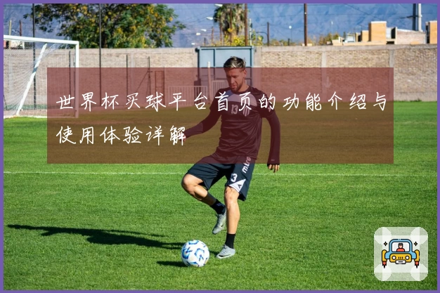世界杯买球平台首页的功能介绍与使用体验详解