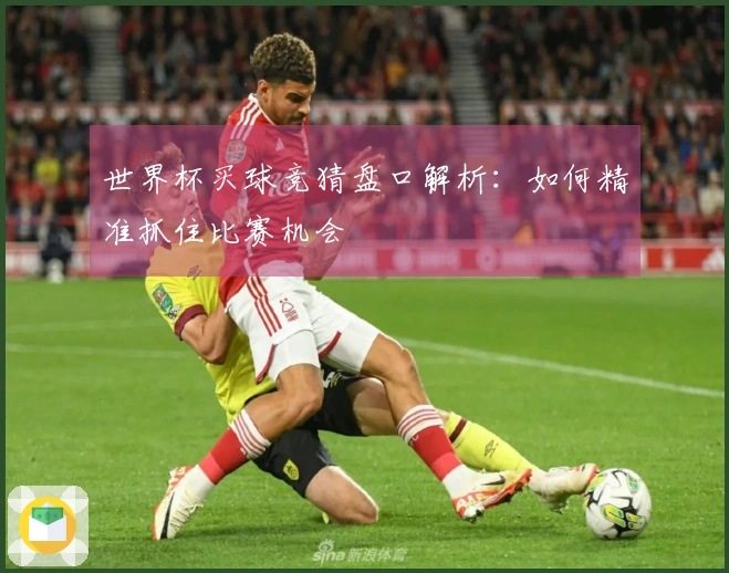 世界杯买球竞猜盘口解析：如何精准抓住比赛机会