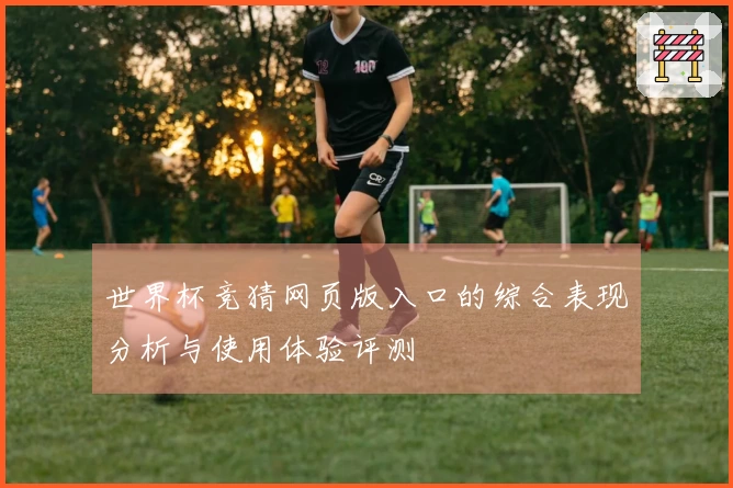 世界杯竞猜网页版入口的综合表现分析与使用体验评测