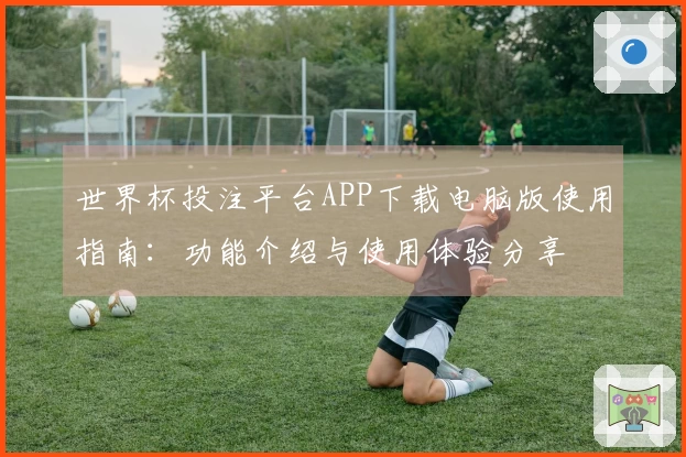 世界杯投注平台APP下载电脑版使用指南：功能介绍与使用体验分享