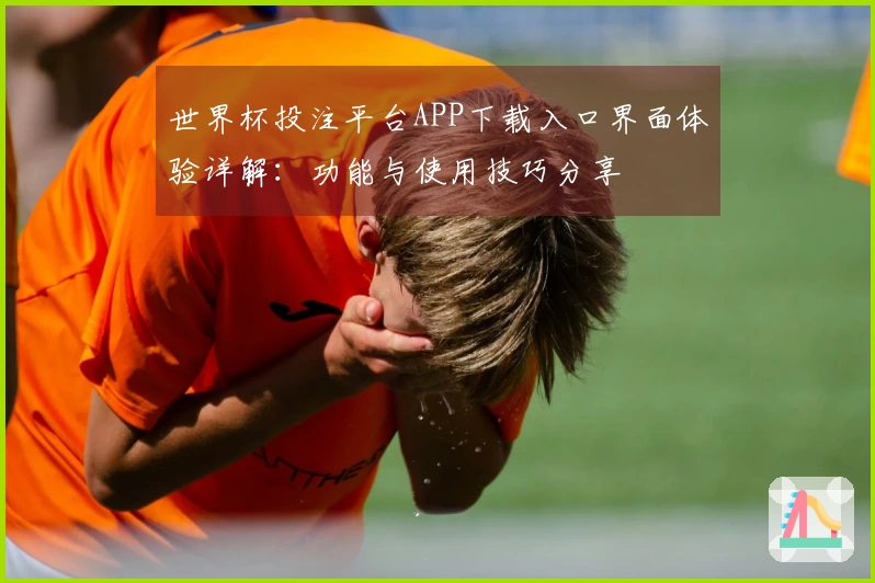 世界杯投注平台APP下载入口界面体验详解：功能与使用技巧分享